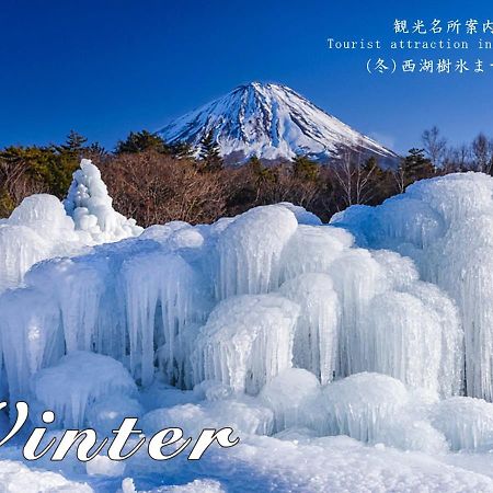 Station Villa Plaisir Mt. Fuji Fujikawaguchiko Ngoại thất bức ảnh