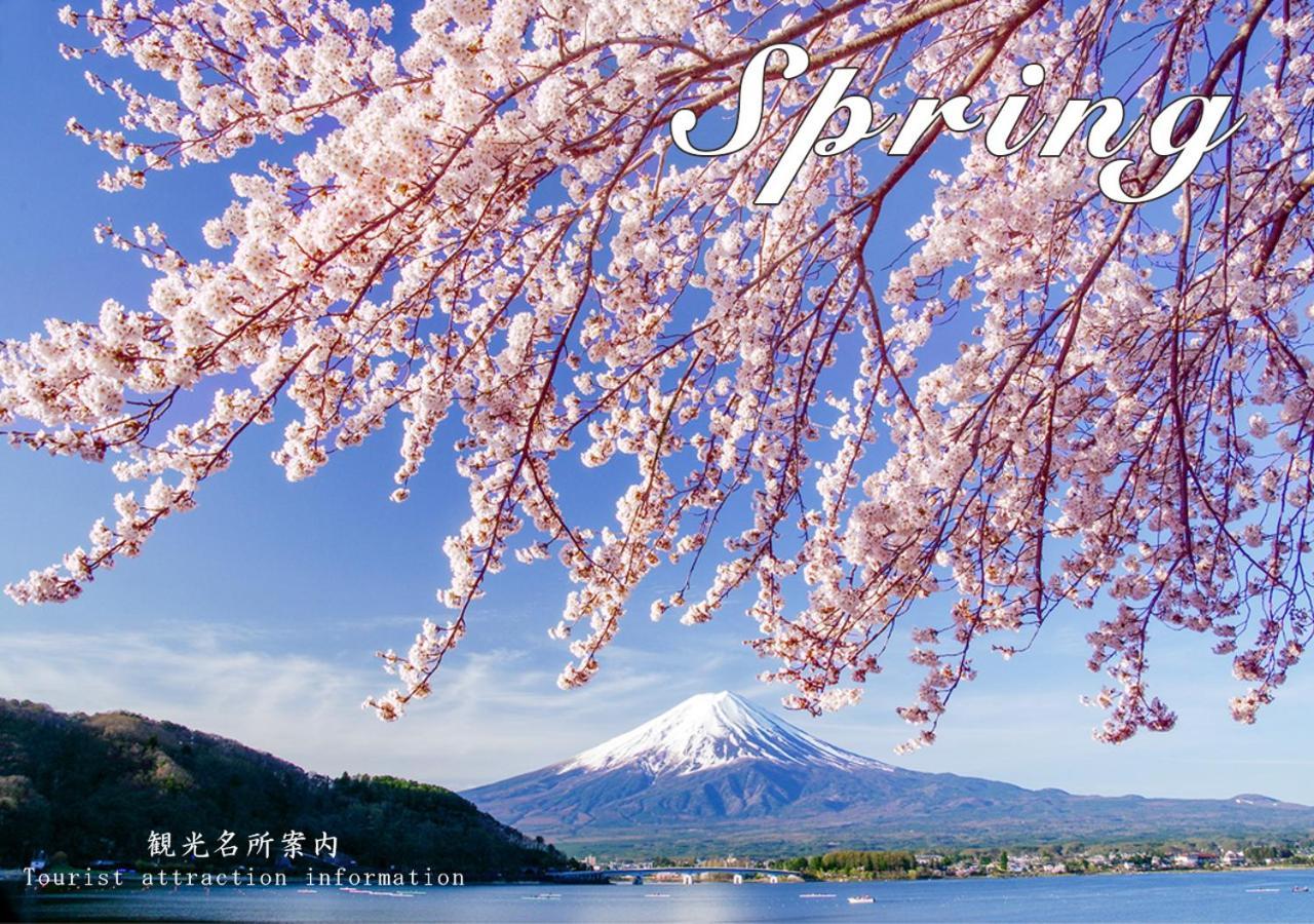 Station Villa Plaisir Mt. Fuji Fujikawaguchiko Ngoại thất bức ảnh